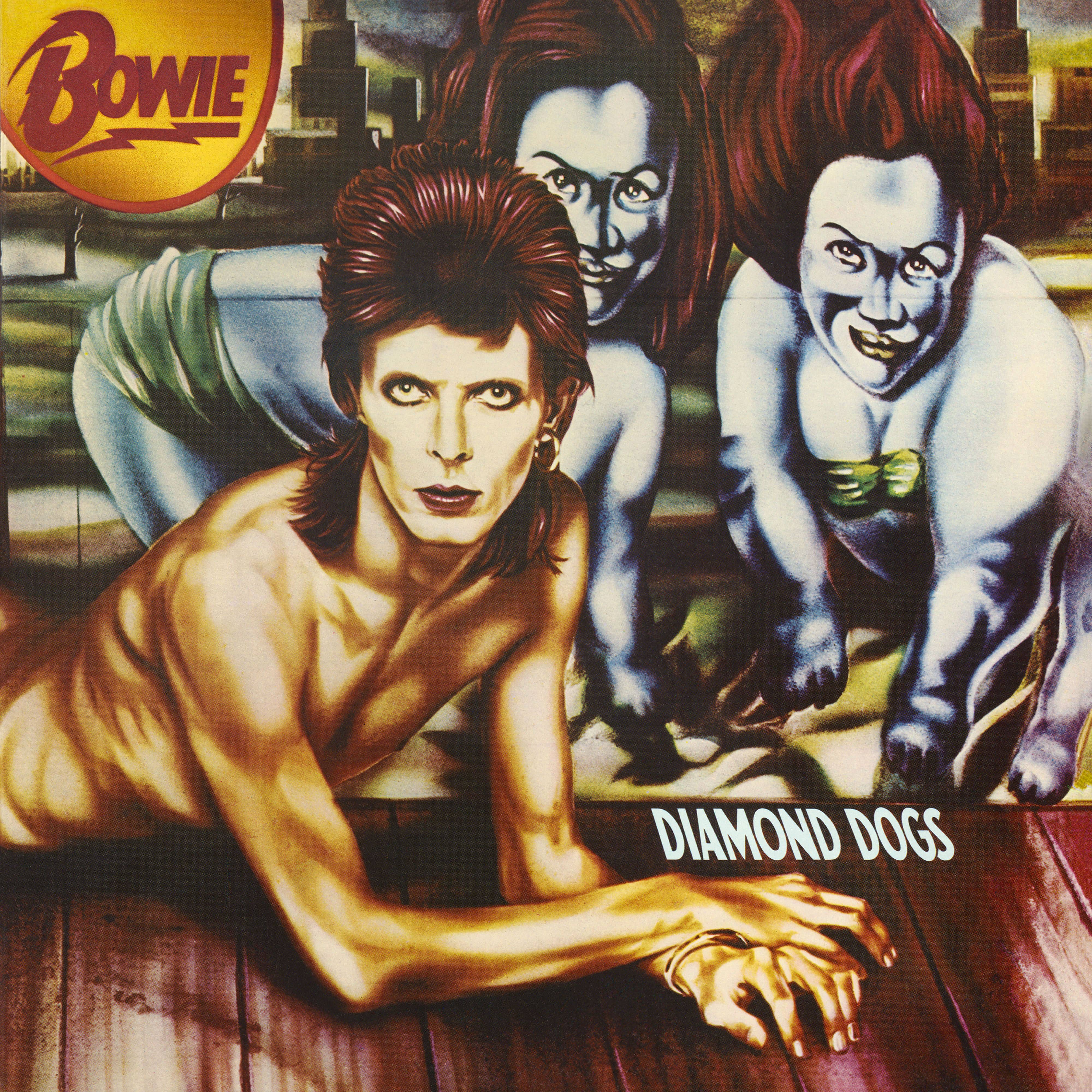 Bag Gym Handbag Vintage Album Cover David Bowie Diamond Dogs Backpack